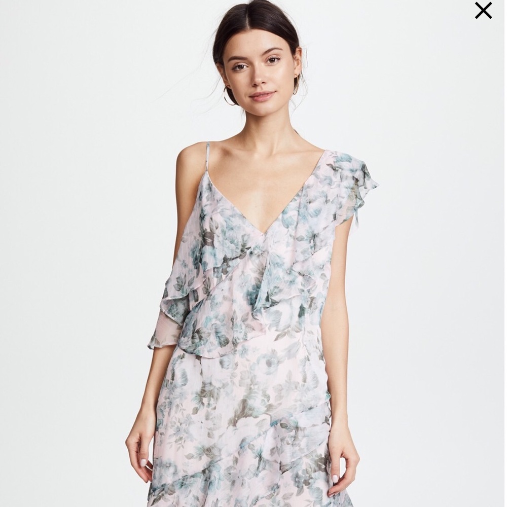 keepsake Midi Dress, Sage Rose Floral, XS